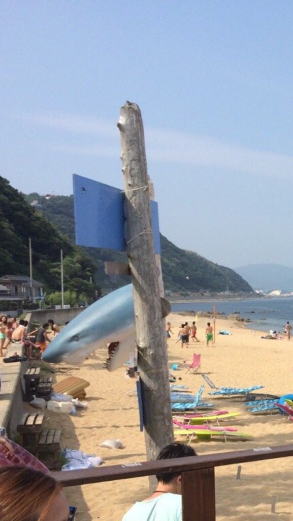 20140729-224504-81904363.jpg