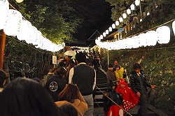 s-DSC_1232