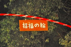 s-DSC_1244