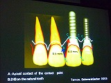 s-P1030907