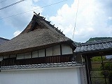 s-s-P1010070