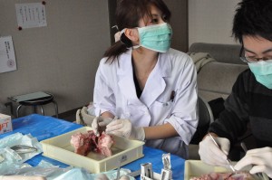 ssDSC_8725
