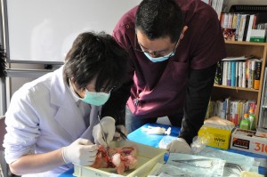 ssDSC_8736