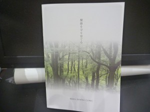ssP1310235