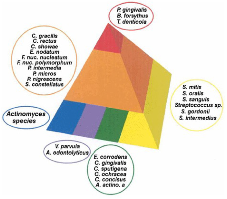 歯周病を引き起こす6種類の細菌